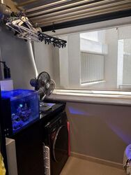 Blk 114A Alkaff Oasis (Toa Payoh), HDB 3 Rooms #605932401
